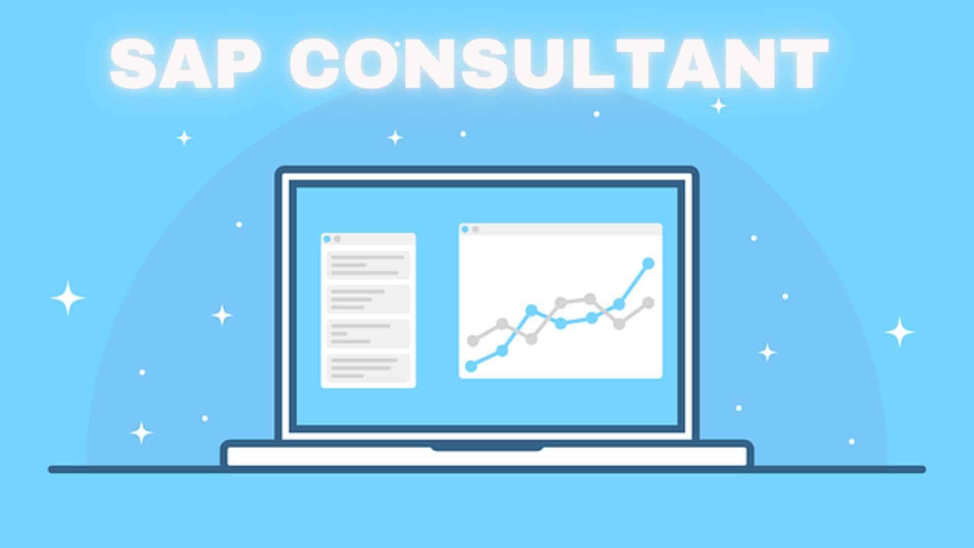 What does an SAP consultant do?