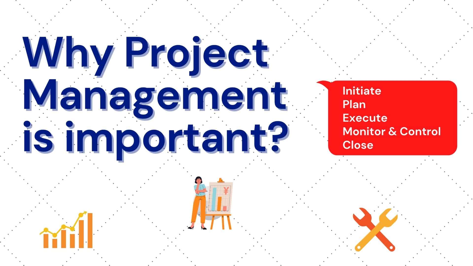 why project management is important for an organization